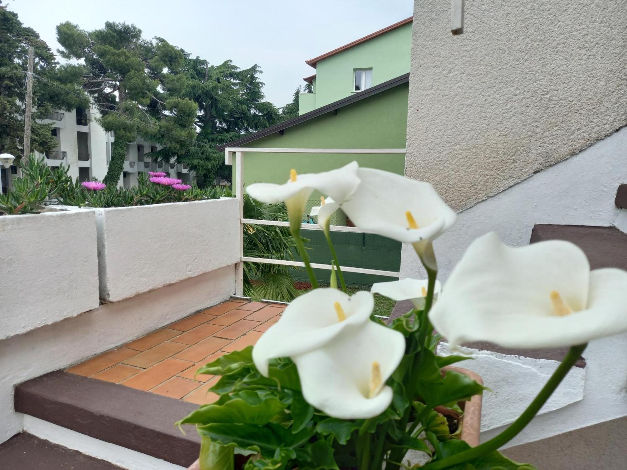 Apartman Dasen