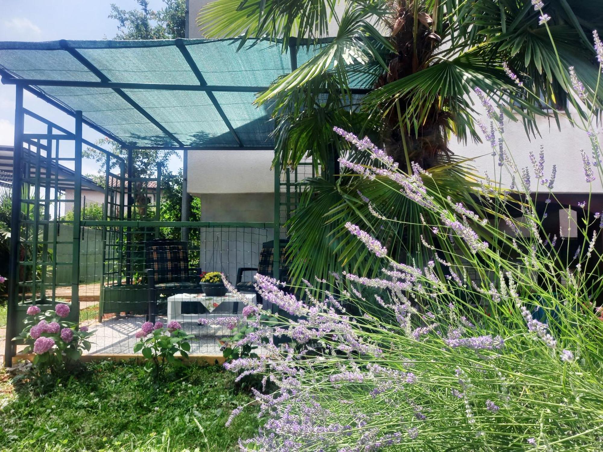 Apartment Dasen Umag
